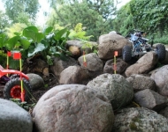 img00019