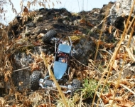img00024