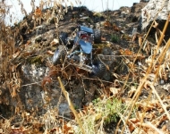 img00023