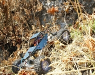 img00031