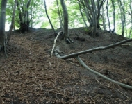 img00261