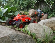 img00017