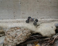 img00229