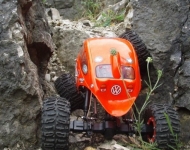 img00009