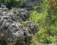 img00001